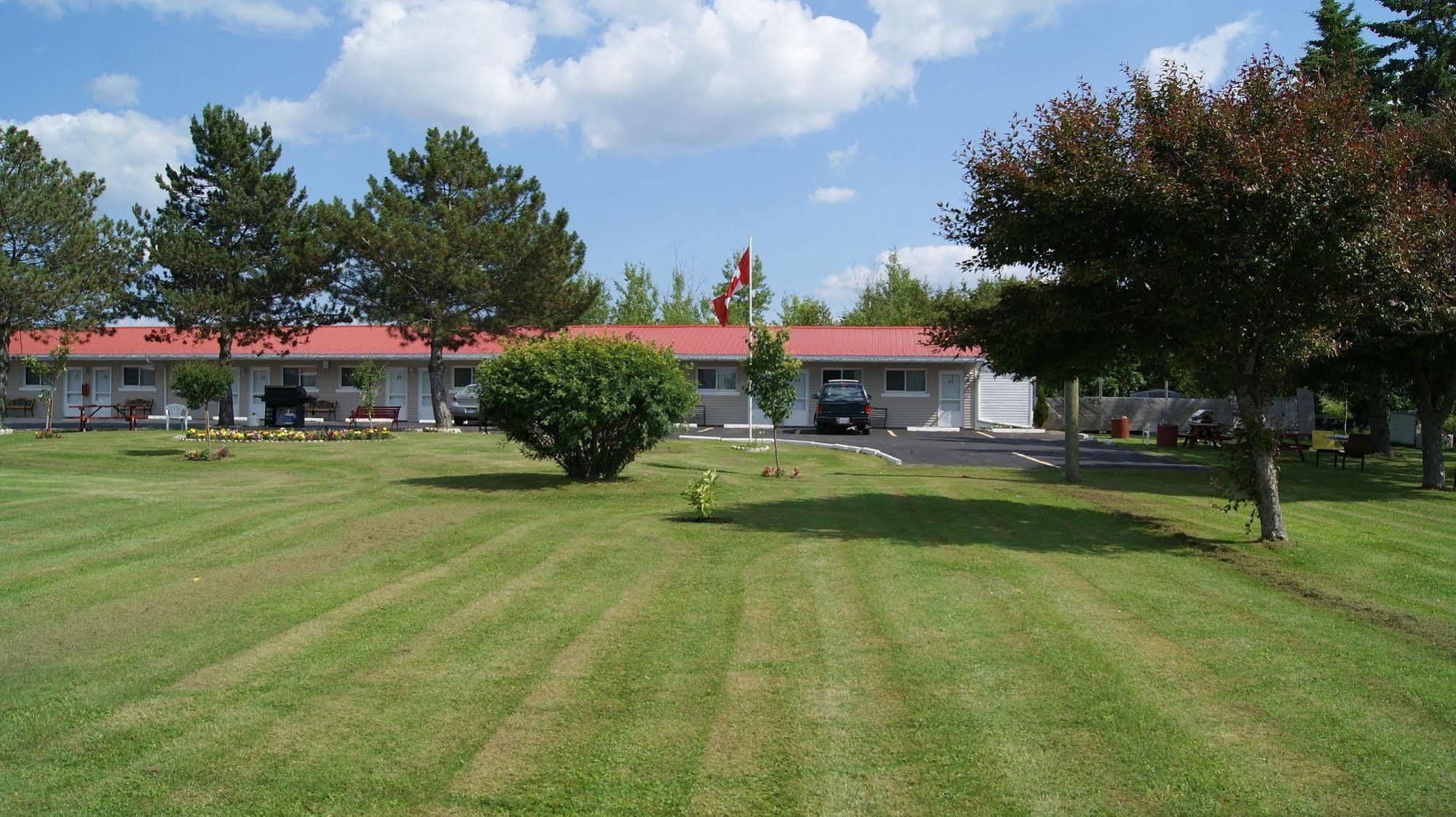Blue Jay Motel Peterborough Ngoại thất bức ảnh